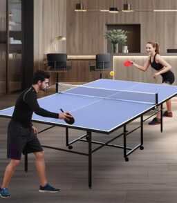 Foldable Ping Pong Table – Table Tennis with Net, Wheels | Indoor Folding